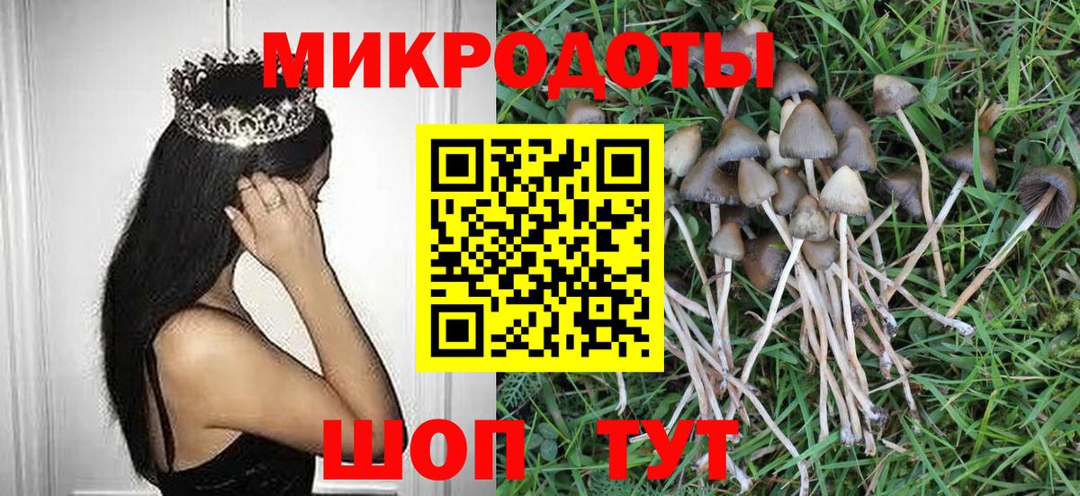 Псилоцибиновые грибы Киселёвск