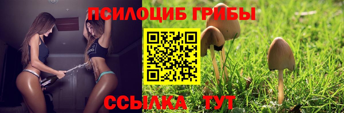 Псилоцибиновые грибы GOLDEN TEACHER  Вход с VPN  Киселёвск 