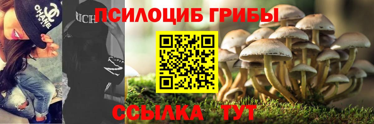 Псилоцибиновые грибы MAGIC MUSHROOMS Киселёвск
